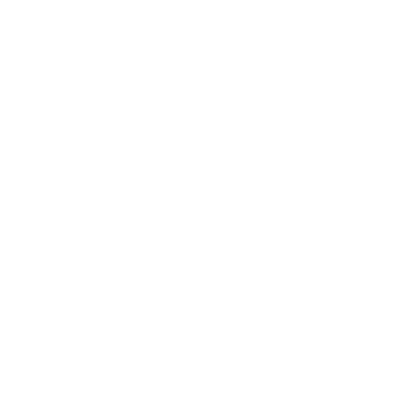 The BlackStone co.