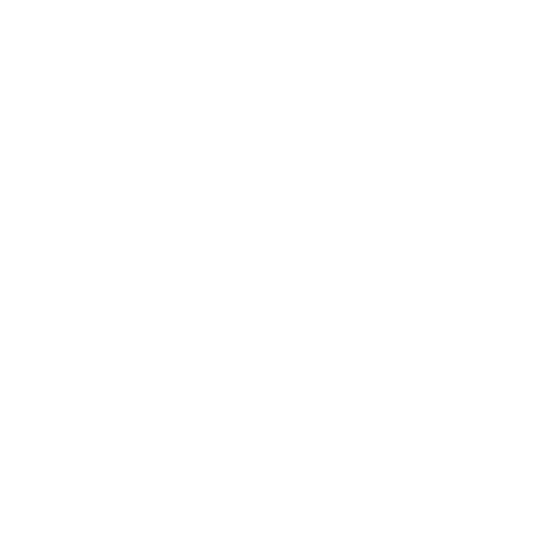 The Inspector Cluzo